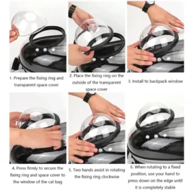 Cat inside transparent cat carrier backpack dome – cat backpack breathable pet bag ksa