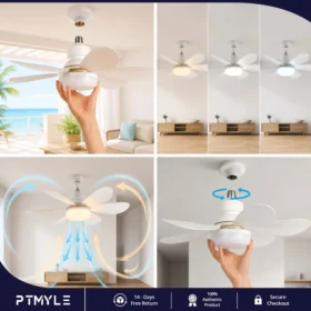 Best Ceiling Fan Light Remote Control LED Ceiling Fan – PTMYLE